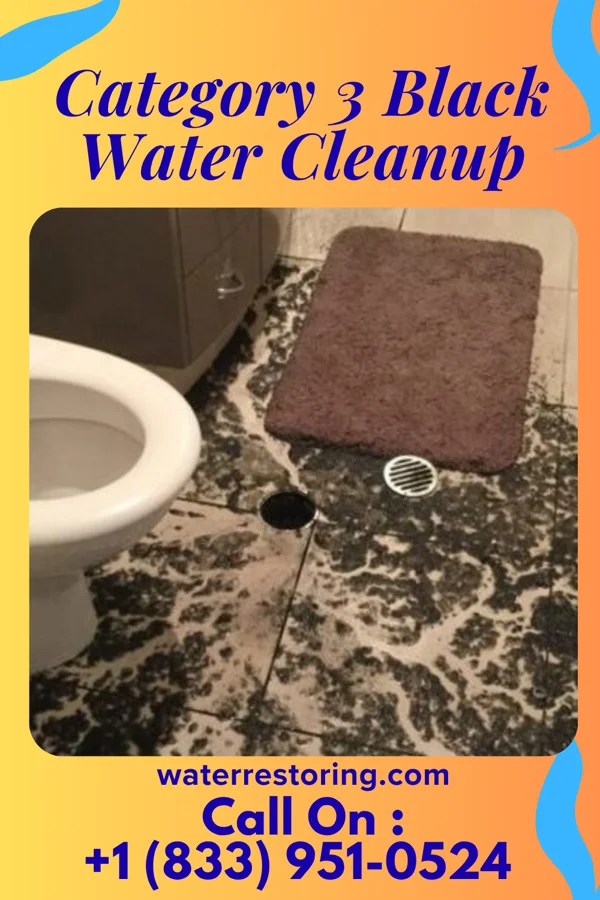 Category 3 Black Water Cleanup in Cologne, MN