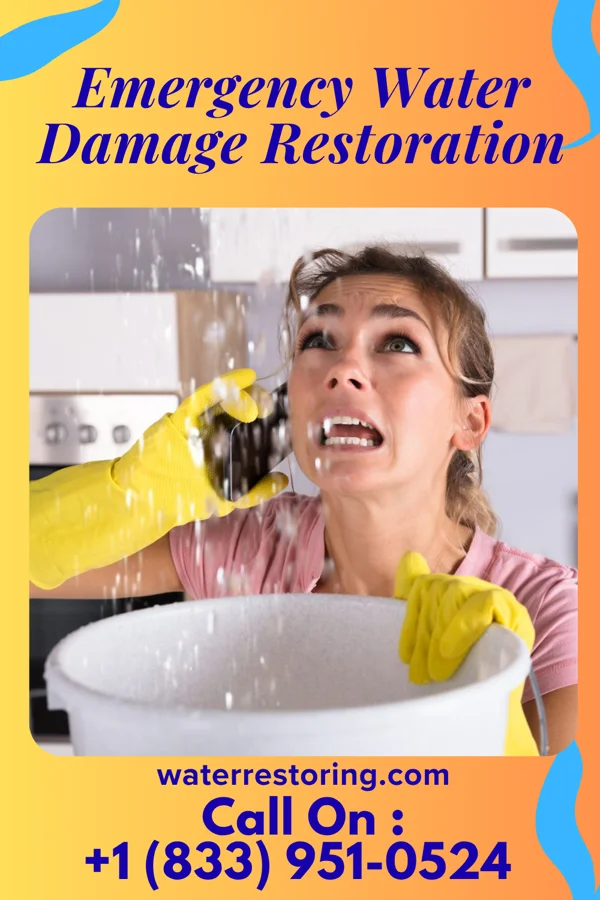 Emergency Water Damage Restoration in Cologne, MN
