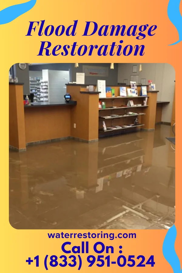Flood Damage Restoration in Cologne, MN