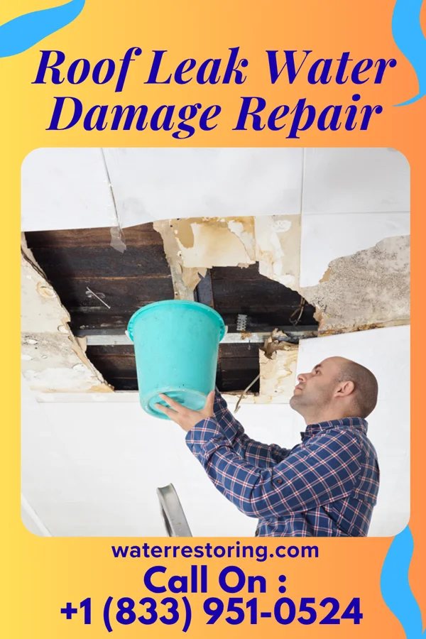 Roof Leak Water Damage Repair in Cologne, MN