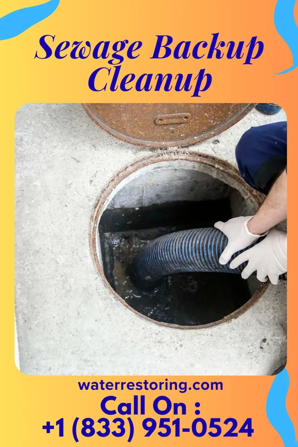 Sewage Backup Cleanup in Cologne, MN